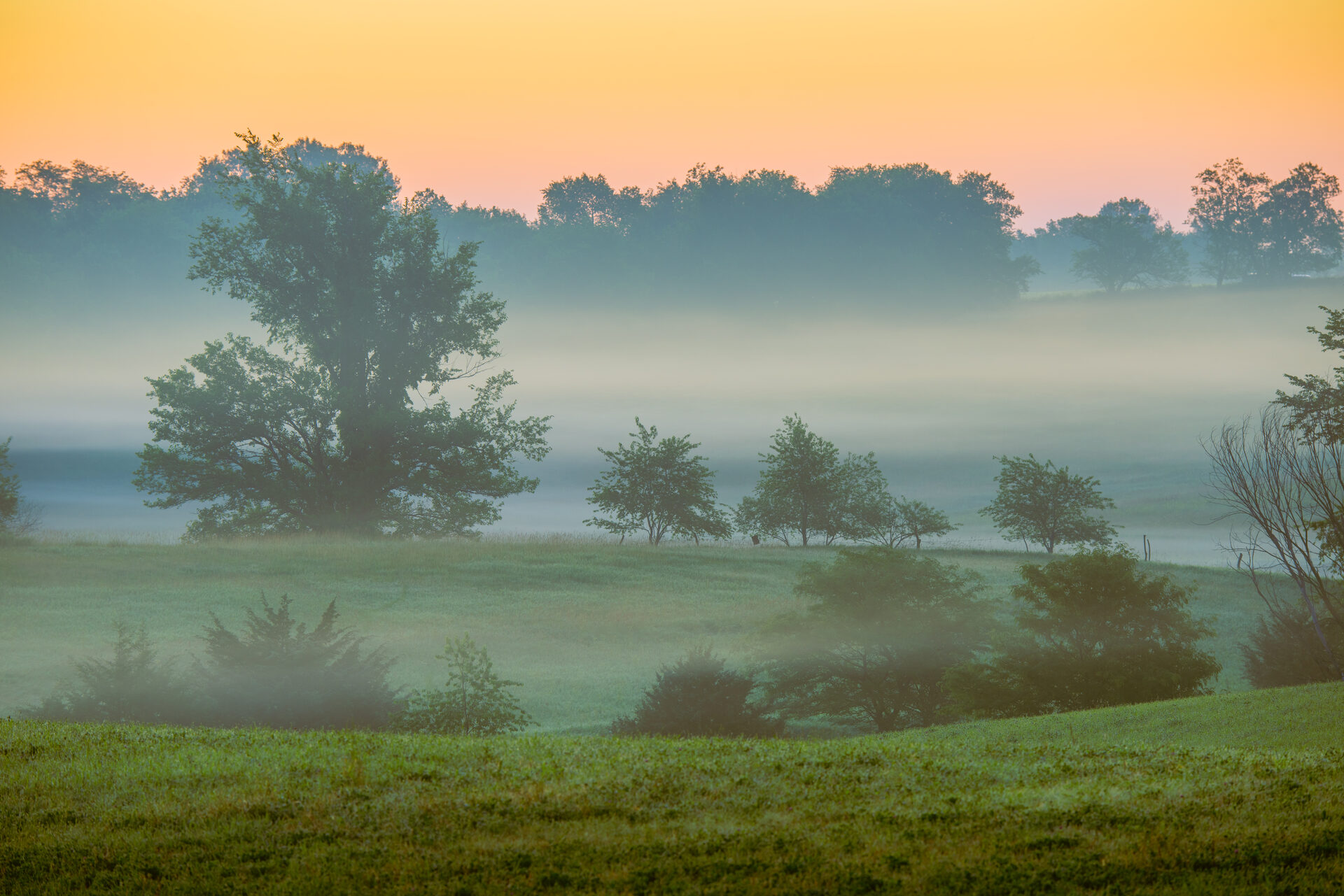 Iowa misty morning