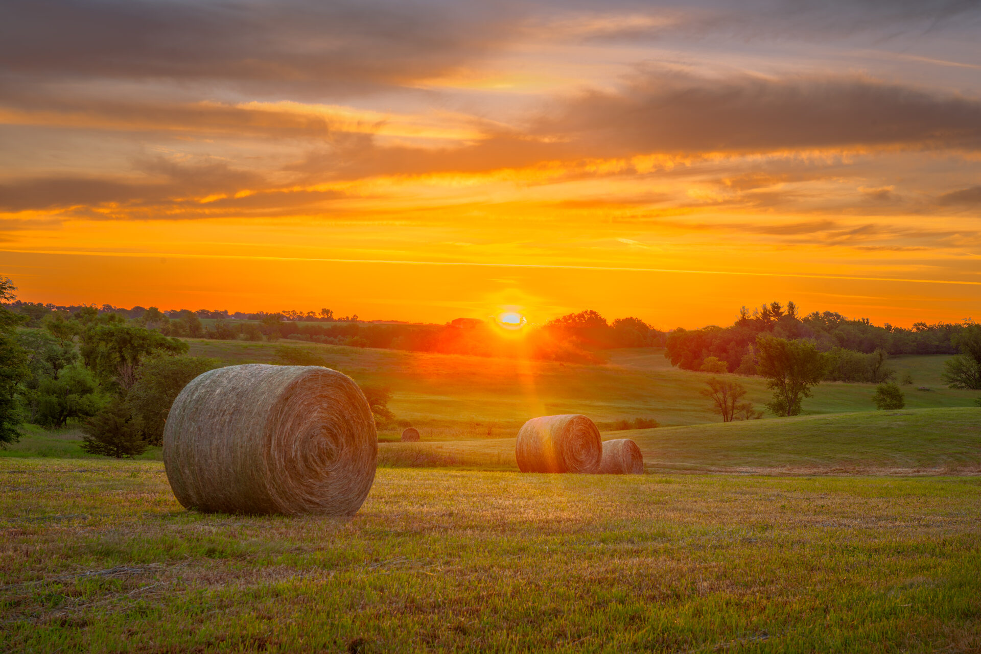 Sunlit fields near Maharishi Vedic City, Iowa